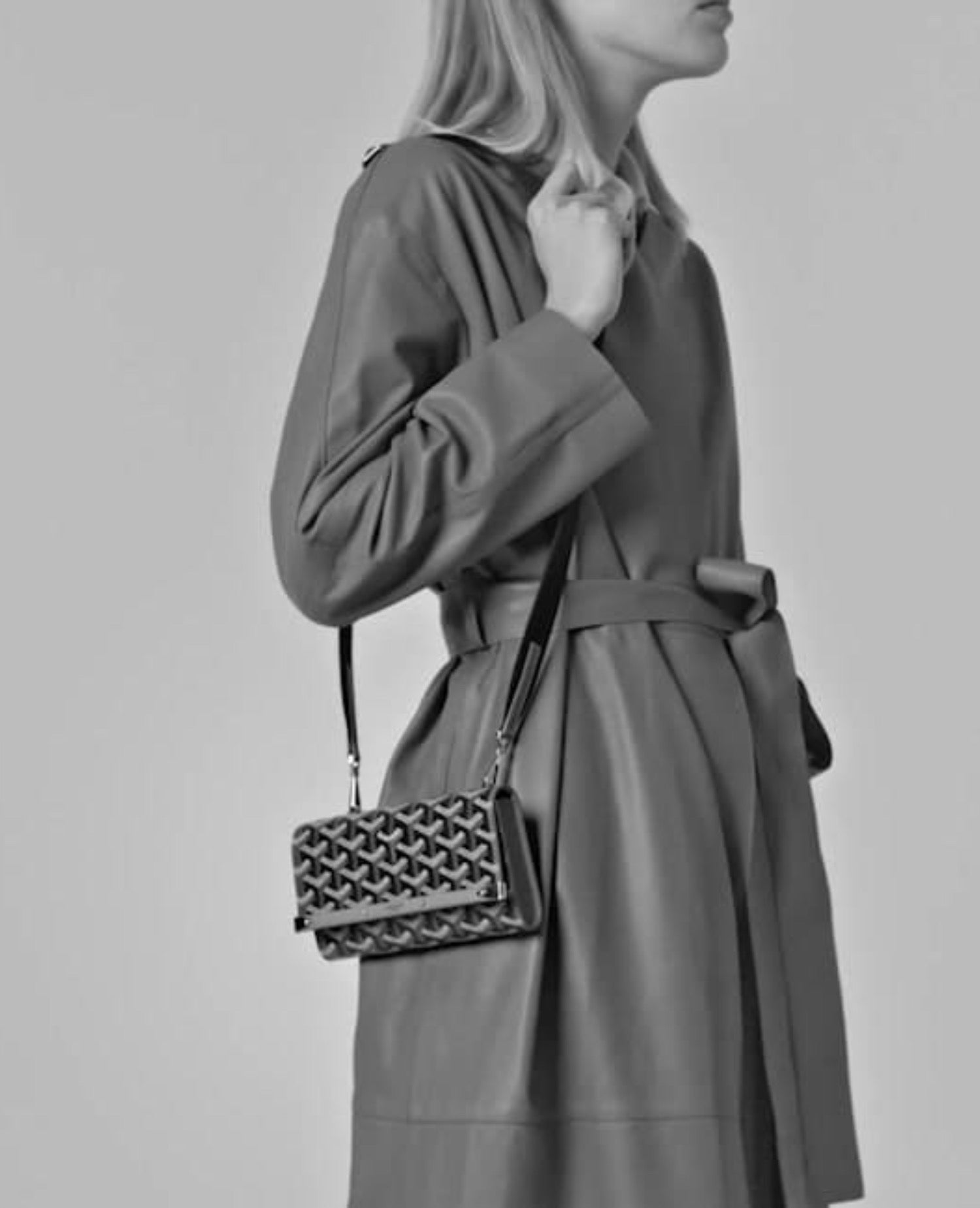 GYD Monte-Carlo Mini Case Brown