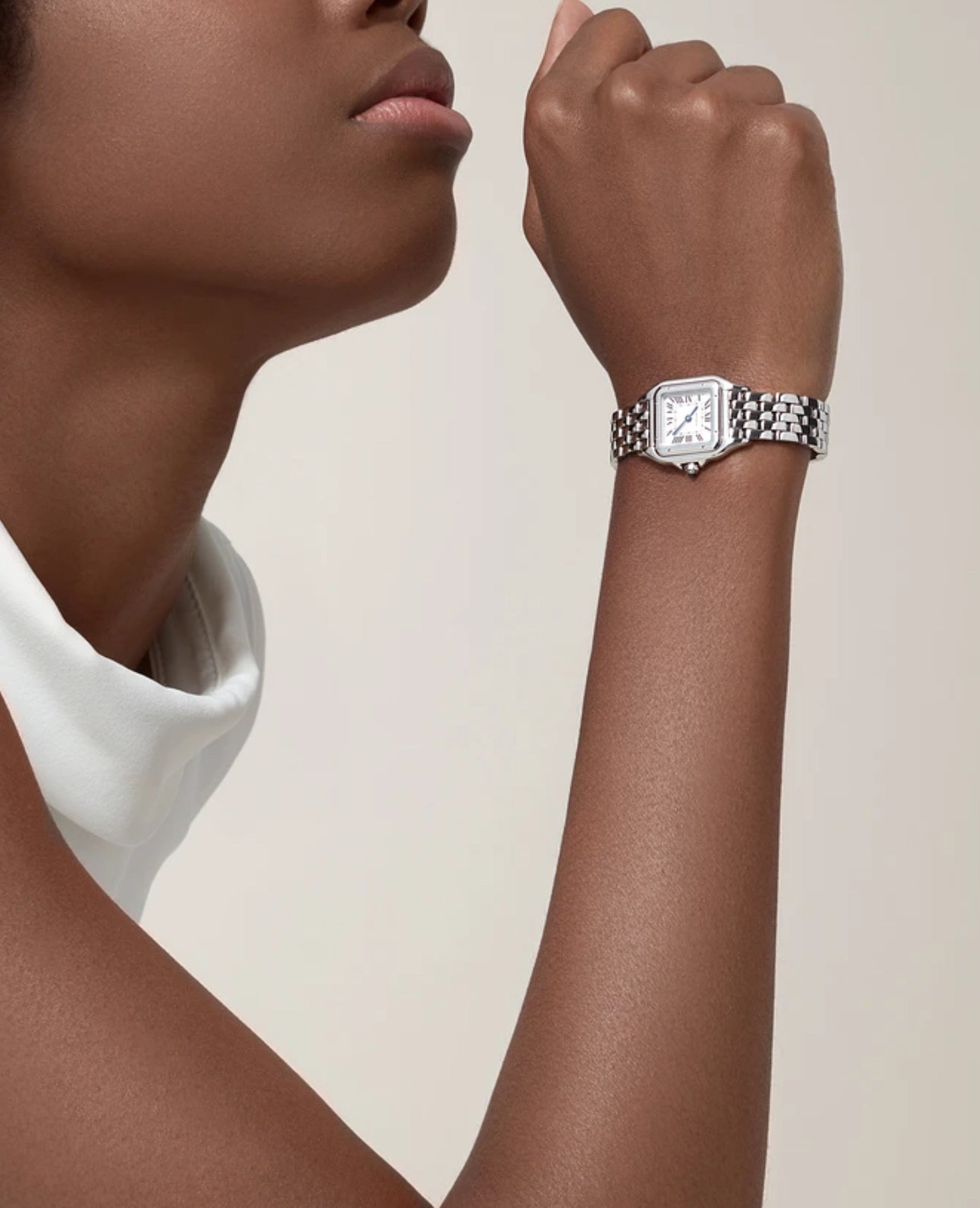 CRT Panthèrs DE CRT Watch, Small Model, Silver